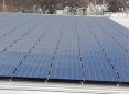 Miller’s Efforts to Go Green with New York Light Energy